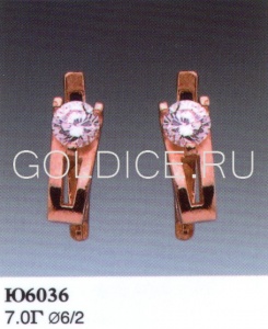 Ю6036