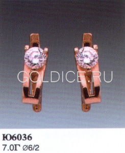 Ю6036