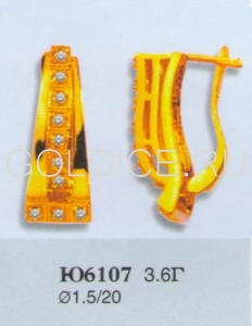 Ю6107