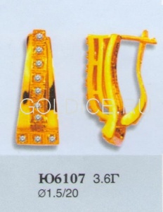 Ю6107