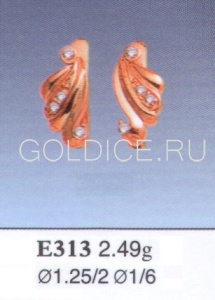 Е313