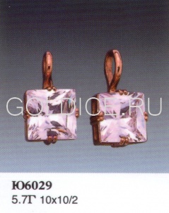 Ю6029