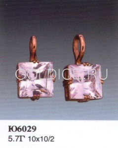Ю6029