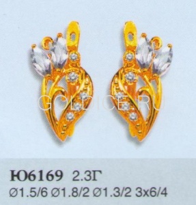 Ю6169