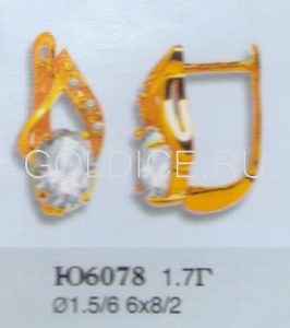 Ю6078