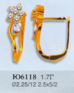 Ю6118