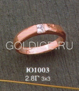 Ю1003