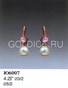 Ю6007