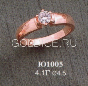 Ю1005