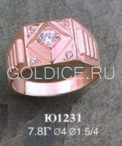 Ю1231