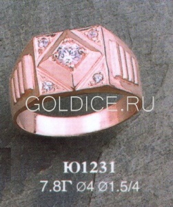 Ю1231