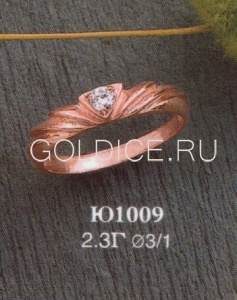 Ю1009