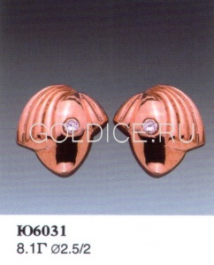 Ю6031