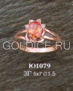 Ю1079