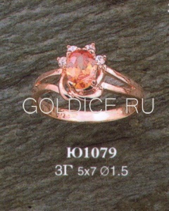 Ю1079
