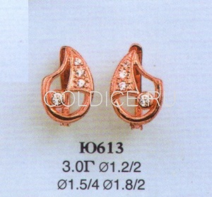 Ю613