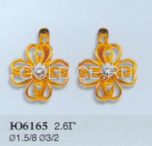 Ю6165