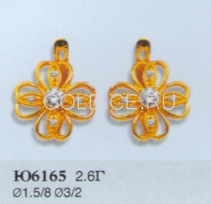 Ю6165