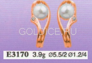 Е3170