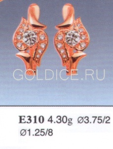 Е310