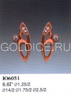 Ю6051