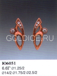 Ю6051