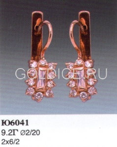 Ю6041