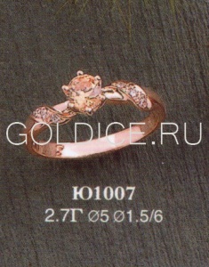 Ю1007