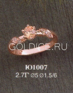 Ю1007