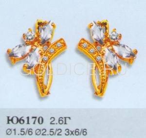 Ю6170