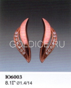Ю6003