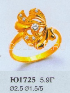 Ю1725
