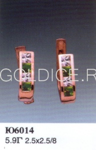 Ю6014